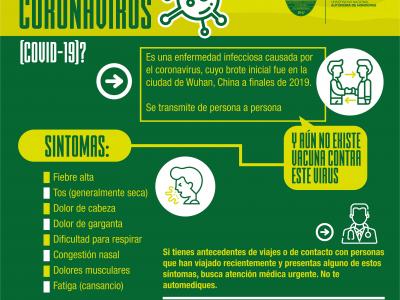Qué es el COVID-19