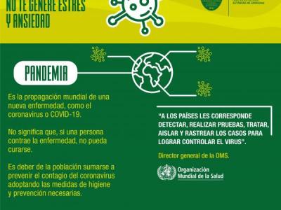 Qué es una pandemia